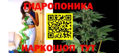 марихуана Краснознаменск