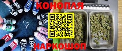 прущие крисы Краснодар