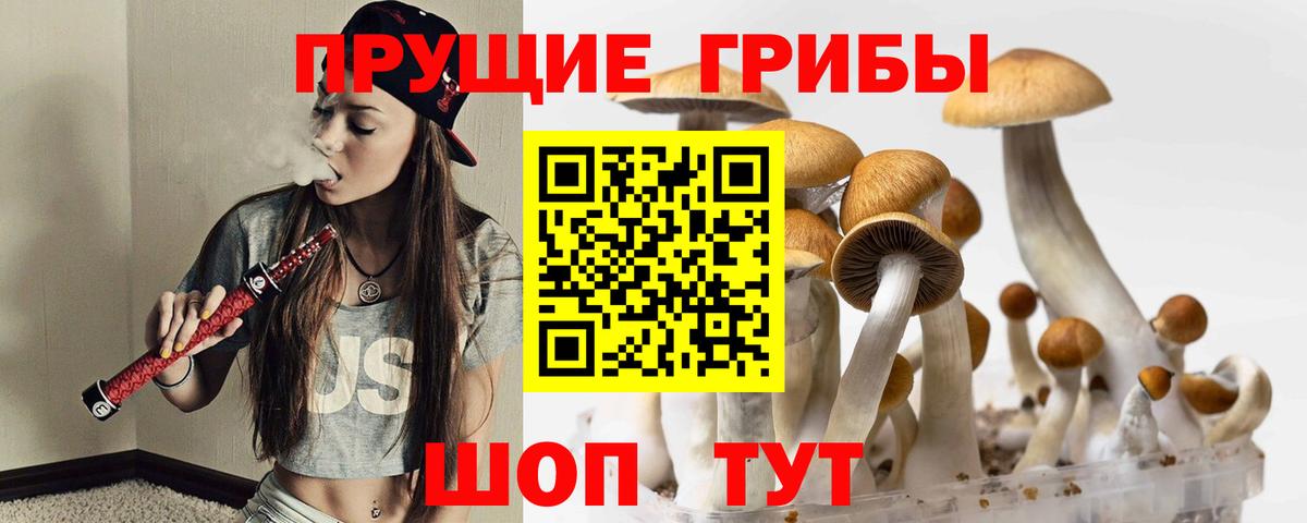 наркошоп  Вход с VPN  Черняховск  Псилоцибиновые грибы ЛСД 